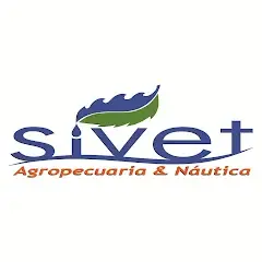 My Website